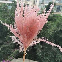 8pcs/30-35cm,Nature Preserved Osmunda japonica bouquet,Eternal Fern leaf DIY glass cover floating flower material Wedding decor 2024 - buy cheap