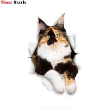 Three Ratels FC61 3D Cat Stickers Calico Decal For Car Truck Windshield Door Wall Refrigerator Window Toilet Ipad Laptop Home 2024 - buy cheap