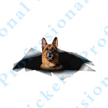 Pinscher-calcomanía de vinilo 3D para coche, pegatinas de Animal para coche, gráfico de mascota 3D, calcomanía de vinilo para coche, motocicleta y ordenador portátil, 13x9,8 2024 - compra barato