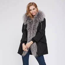 2019 New Design Raccoon Dog fur Collar Rex Rabbit Fur Liner Coat Real Fur Coat Autumn And Winter Warm Coat 2024 - buy cheap