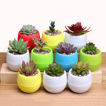 Mini Round Plastic Plants Desktop Plant Bonsai Flower Pots with Wooden Tray for Garden Home Office Decoration Drop Shipping 2024 - buy cheap