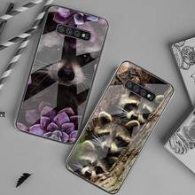 Capa de celular de guaxinim de animal, vidro temperado para samsung s20 plus s7 s8 s9 s10 plus note 8 9 10 plus 2024 - compre barato