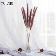 Pink Bulrush Natural Dried Small Pampas Grass Phragmites Artificial Plants Dried Flower Wedding Bouquet Flower Bunch Home Decor 2024 - buy cheap