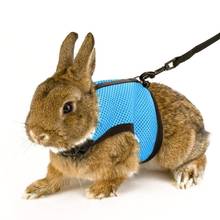 Rabbit Guinea Pig Hamster Pet Harness Vest Mesh Chest Strap with Traction Leash Pet Products 2024 - buy cheap