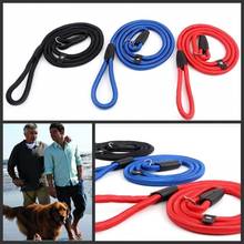 Pet Dog Nylon Rope Training Leash Slip Lead Strap Adjustable Traction Collar Strap Traction Rope Dog Pinch Collar Lead 2024 - buy cheap
