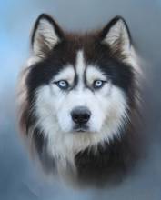 JMINE Div 5D husky dog Full Diamond Painting cross stitch kits art High Quality Animal 3D paint by diamonds 2024 - buy cheap