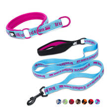 Truelove-Collar y correa de nailon para perro, conjunto de correa para perros grandes y pequeños, Gargantilla de plomo para entrenamiento de perros, acolchado y suave 2024 - compra barato