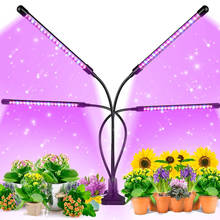 LED Grow Light USB Phyto Lamp Full Spectrum Fitolamp With Control Phytolamp For Plants Seedlings Flower Indoor Grow Box 2024 - buy cheap