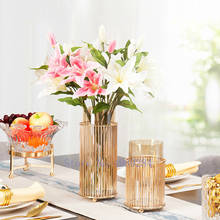Современная стеклянная ваза для гидропоники, золотая металлическая полка для украшения гостиной, настольная ваза для цветов, искусственная ваза для цветов 2024 - купить недорого
