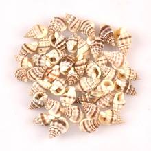 15-20mm Natural Spiral conch spot Shells for DIY handmade Jewelry making Home decoration one hole TRS0372 2024 - buy cheap