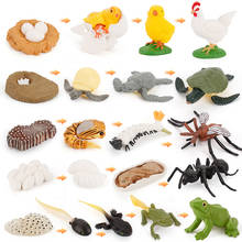 Искусственные игрушки для детей, фигурка животного, модели жизненного велосипеда, Chook, фигурка комаров, обучающая игрушка, подарок 2024 - купить недорого