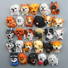 Ímã do cão mundialmente famoso para decoração do refrigerador corgi hutch bulldog shiba inu modelo kawaii ímãs adesivos para decoração de casa 2024 - compre barato