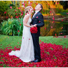 Лидер продаж, 100-5000 шт., романтические искусственные шелковые лепестки роз, цветок для свадебной церемонии, украшения для будущей мамы, искусственные лепестки, 5Z 2024 - купить недорого