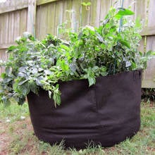 Non Woven Tree Fabric Pots Grow Bag Root Container Plant black hand with planting flowers nonwoven bags Grows Culture 2024 - buy cheap