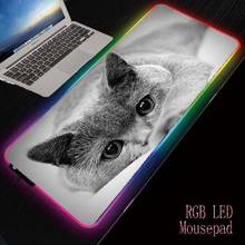 Игровой коврик для мыши Mairuige Cat RGB, большой игровой коврик для мыши, большой компьютерный коврик для мыши, светодиодная подсветка, коврик для мыши в виде животных, коврик для клавиатуры, Настольный коврик 2024 - купить недорого