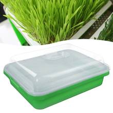 Plastic Nursery Pots Seed Sprouter Tray PP Soil-Free Big Capacity Wheatgrass Grower Seedling Tray Sprout Plate Hydroponic 35P 2024 - buy cheap