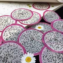 5pcs Dried Pressed Mini Fruit Pitaya Slices Plant Herbarium For Jewelry Photo Frame Phone Case Bookmark Making DIY 2024 - buy cheap