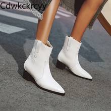 winter The New Europe and America fashion Pointed Thick heel Martin boots Plus cashmere Keep warm High heel Women boots 34-47 2024 - buy cheap