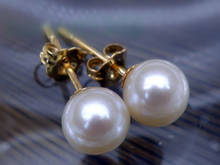 free shipping new round AAA + 8-7mm South Seas white pearl earrings with 14 k 2024 - buy cheap