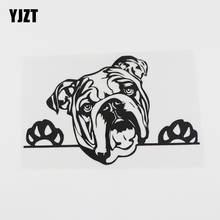 YJZT-adhesivo de vinilo para coche de 16. 7cmx10.4cm, a la moda, para Bulldog Francés, perro que mira, negro/plata 8A-0050 2024 - compra barato