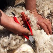 Tijeras de lana para granja de ovejas, tijeras para Cabra, herramienta de corte de jardinería 2023 - compra barato