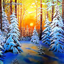 Evershine bordado de diamante paisagem de inverno, pintura de diamante imagem de paisagem de neve, strass, mosaico de diamante, ponto cruz 2024 - compre barato