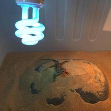 UVB Pet лампа для рептилий E27 5,0 10,0 13 Вт ультрафиолетовый светильник, ночник, нагрев для черепашек-амфибий, ящериц и змей 2024 - купить недорого