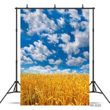 Autumn Wheat Fall Farm Blue Sky Cloud Scenery Backdrops Photocall Baby Newborn Portrait Photography Backgrounds For Photo Studio 2024 - buy cheap