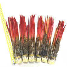 Golden Pheasant Red Tips Loose Feather 5~30cm/2-12inch Red Sword Feathers for Crafts  Jewelry Making Plumes Plumas Decoration 2024 - buy cheap
