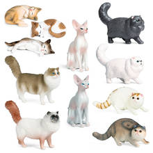 Figuras de acción de gato sin pelo, juguetes de simulación de animales de la familia, mascotas Ragdoll, gatos eshinx, modelo de figura de muñeco coleccionable para regalo de niños 2024 - compra barato