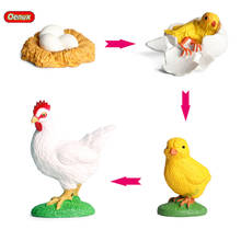 Oenux-simulação familiar de galinha, galinha e ovos, ciclo de crescimento, aves, animais, modelo, figuras de ação, brinquedo educativo para crianças 2024 - compre barato