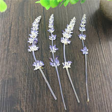100pcs Dried Pressed Lavender Flowers Plant Herbarium For Jewelry Photo Frame Scrapbooking Craft Making Accessories 2024 - buy cheap