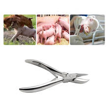 Alicate para corte de dentes de coelho, lâmina curva de aço inoxidável, dente quebrado, porco, coelho, dente, animal pup, 1 peça 2024 - compre barato