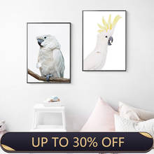 Pintura en lienzo de cacatúa blanca, Impresión de póster de loro Animal australiano, decoración moderna para sala de estar, pintura en lienzo 2024 - compra barato
