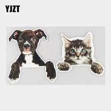 YJZT 21×11.8CM Cute Puppy Kitten Creative Window Decoration Stickers Funny Car  Decals 21A-0072 2024 - buy cheap