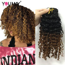 Mongolian Kinky Curly Clip Ins Human Hair 1B30 Ombre Color 3B 3C Clip In Human Hair Extensions 7 Pcs 120 Grams/Set Remy You May 2024 - buy cheap