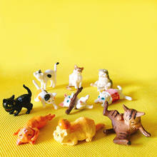 free shipping 10Pcs/cat kitty/miniatures animals/lovely cute/fairy garden gnome/moss terrarium decor/figurine/diy supplies/model 2024 - buy cheap