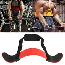 Fitness Arm Curl Blaster Bicep Body Building, fuerza muscular, ajustable, aislado 2024 - compra barato