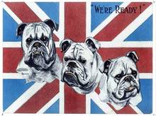 British Bulldogs Tin Sign art wall decoration,vintage aluminum retro metal sign 2024 - buy cheap