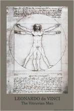 VITRUVIAN MAN - DAVINCI ART SILK POSTER Decorative painting  24x36inch 2024 - buy cheap