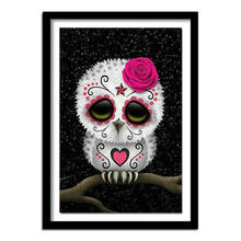 Cuadrado completo/redondo taladro 5D DIY diamante pintura "calavera Búho" bordado punto de cruz decoración del hogar regalo A01462 2024 - compra barato