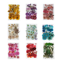 36/37/38/39/42Pc Natural Real Pressed Dried Flowers DIY Scrapbook 2024 - buy cheap