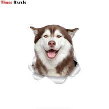 Pegatinas de pared 3D con diseño de perro Husky Siberiano, calcomanías de tres Ratels FTC-1050, para paredes, coches y baños 2024 - compra barato