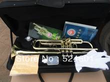 Brand Instrument Xinghai XT-120 Brass Gold Plated Surface Small Bb Trument For  Beginners Bb Trumpet With Case Mouthpiece 2024 - buy cheap