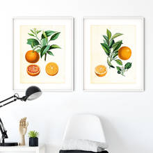 Pintura em tela laranja cítrica, impressões para cozinha, arte de parede, decoração de vinatge, imagens, pôster de decoração para casa 2024 - compre barato