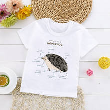 Summer Animal Hedgehog Analysis Print Kids T shirt Creative Cartoon Fashion Pattern Children Short Sleeve Clothes 2024 - buy cheap