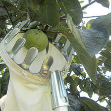 Fruit Picker for Picking Berries Comb Agricultural Hardware Tools Fruit Picking Device Orchard Garden jardim apanhador de fruta 2024 - buy cheap