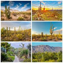 Laeacco Cactus Desert Shrub Hillside Blue Sky Cloudy Natural View Photo Backgrounds Photography Backdrops For Photo Studio 2024 - buy cheap