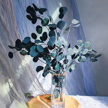 Eucalyptus Dried Flowers Artificial Eucalyptus Leaves Flower Dried Bouquet Home Decor(Blue) 2024 - buy cheap