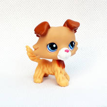 Магазин домашних животных милые игрушки Редкие животные колли #2452 маленькая Желтая коричневая собака с голубыми глазами Оригинальная фигурка игрушки для детей 2024 - купить недорого